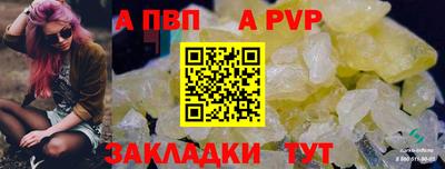 ГАЛЛЮЦИНОГЕННЫЕ ГРИБЫ Кингисепп