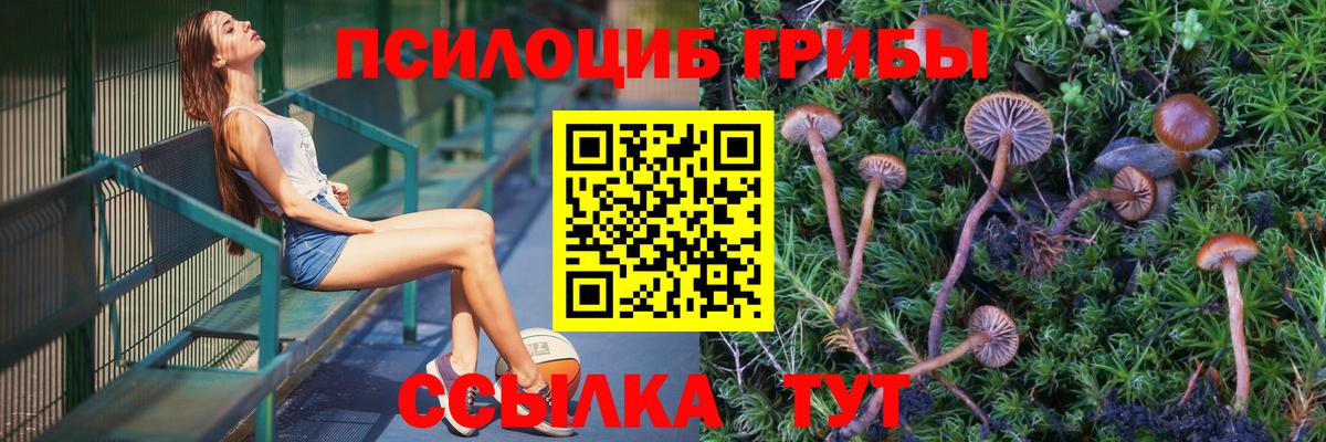 Псилоцибиновые грибы MAGIC MUSHROOMS Кропоткин