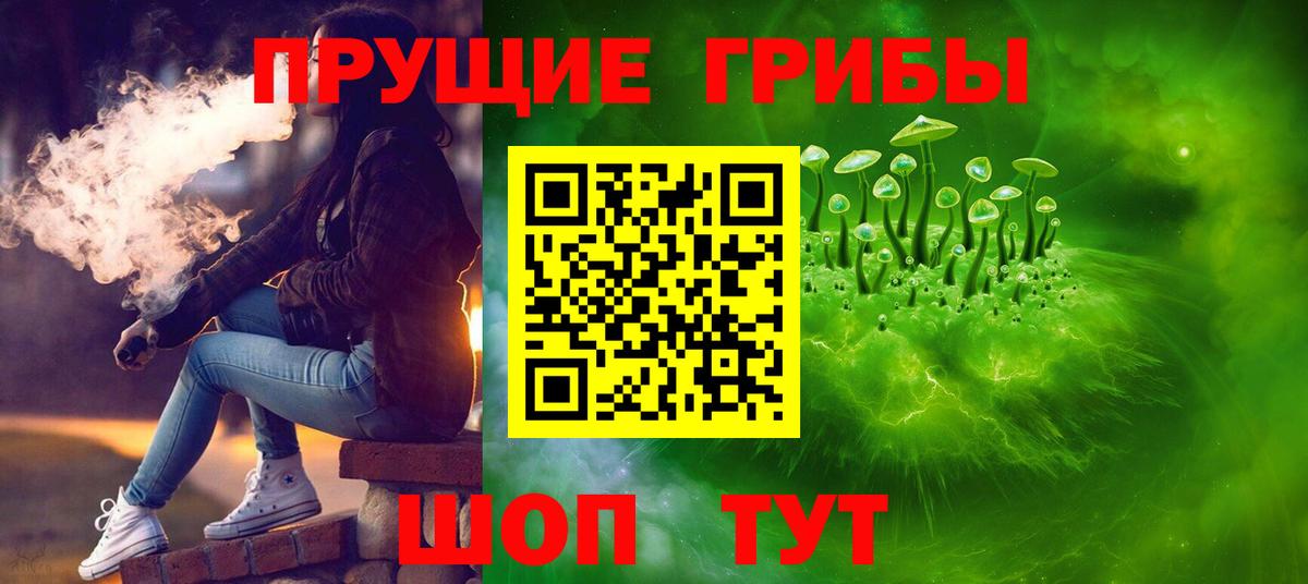 Кропоткин  Псилоцибиновые грибы Psilocybine cubensis  цена   Вход с VPN 